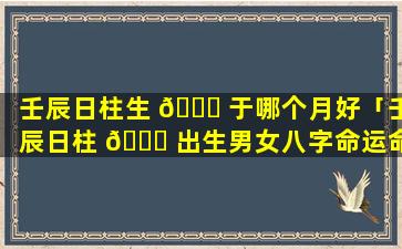 壬辰日柱生 🐎 于哪个月好「壬辰日柱 🐈 出生男女八字命运命理师念鲜」